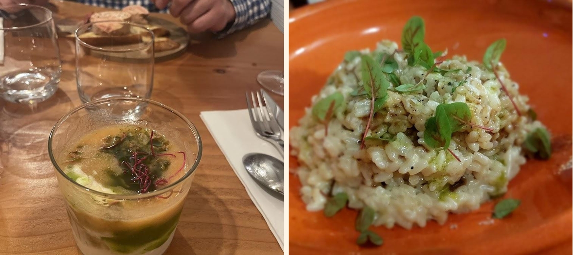 L'Oliveraie - Gallery Image 3